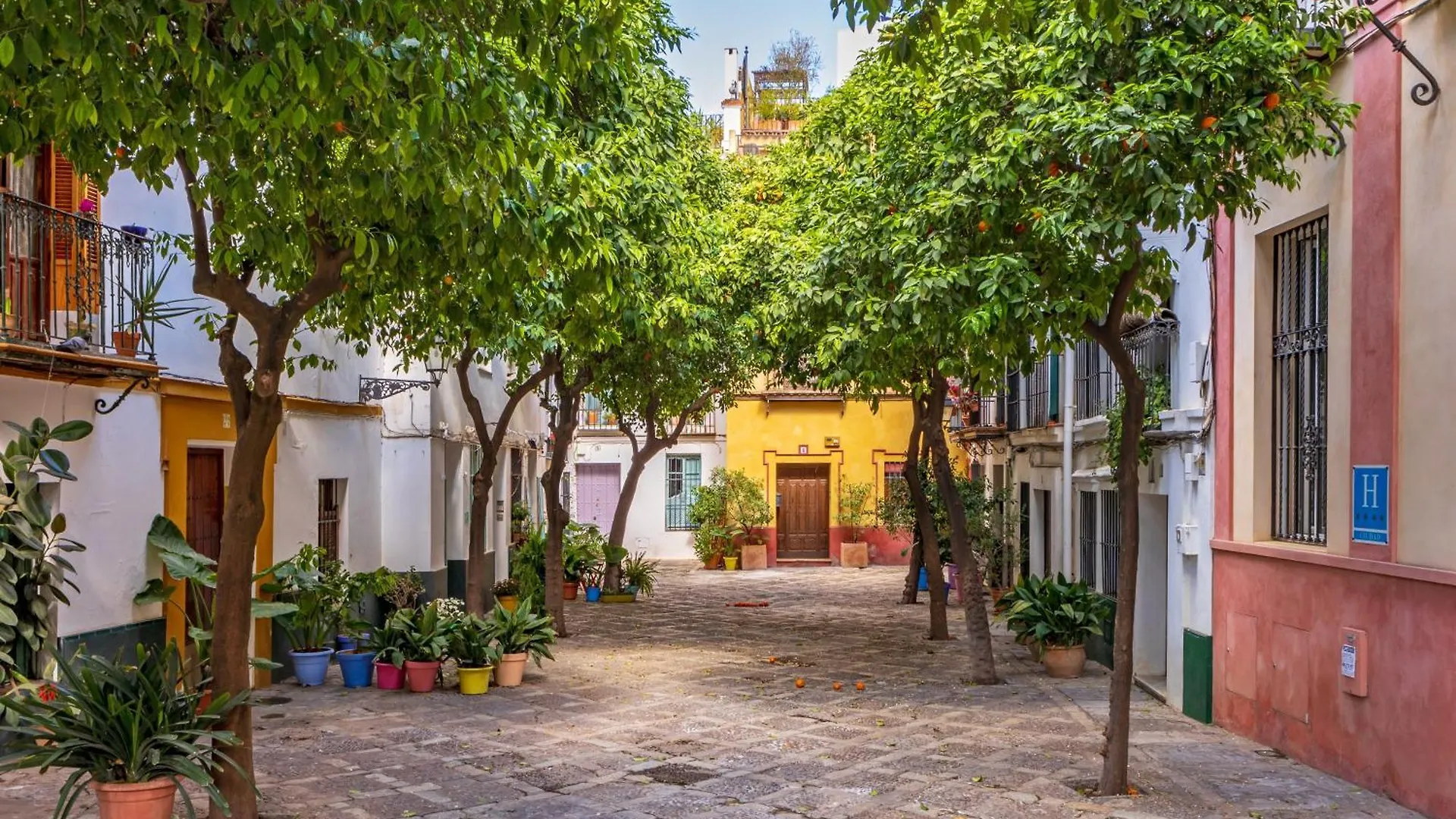 Duplex Con Terraza Privada Y Vistas A La Catedral Apartment Seville Spain
